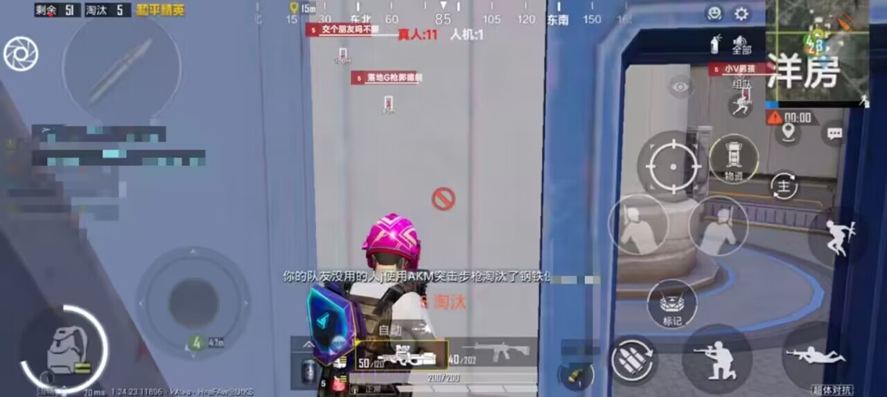 和平精英DDYS辅助